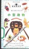 小型动物 封面