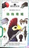 动物奇观 封面
