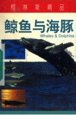 鲸与海豚 封面