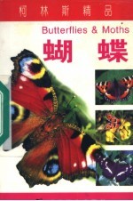 蝴蝶 封面