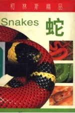 蛇 封面