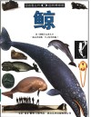 鲸  图集 封面