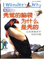 我想知道秃鹫的脑袋为什么是秃的  以及其他关于鸟的问题 封面