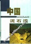中国泥石流 封面