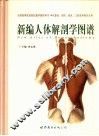 新编人体解剖学图谱 封面