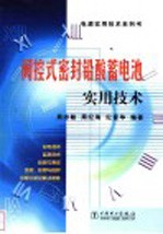 阀控式密封铅酸蓄电池实用技术 封面