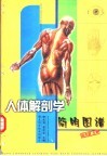 人体解剖学简明图谱 封面