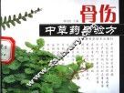 骨伤中草药与验方 封面