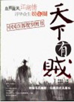 天下有贼 封面