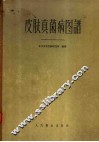 皮肤真菌病图谱 封面