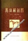 马体解剖图 封面