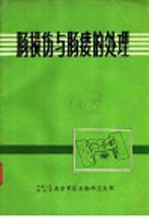 肠损伤与肠瘘的处理 封面