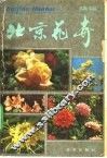 北京花卉  续编 封面