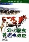怎样提高养奶牛效益 封面