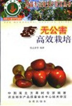 枣无公害高效栽培 封面