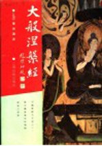 大般涅岁经 封面