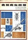 森林病虫图册 封面