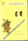 龙眼 封面