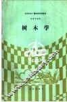 树木学 封面