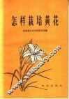 怎样栽培黄花 封面