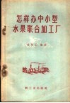 怎样办中小型水果联合加工厂 封面