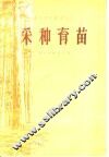 采种育苗 封面