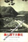 嵩山脚下大寨花  临朐县人民建设嵩山水库灌区的事迹 封面