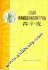 春小麦 封面
