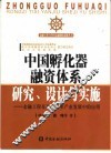 中国孵化器融资体系研究、设计与实施  金融工程在高新技术产业发展中的应用 封面