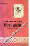 野生单宁植物图说 封面