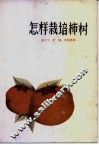 怎样栽培柿树 封面