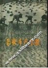 怎样丰产水稻 封面