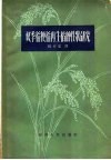双季稻粳稻再生稻的性状研究 封面
