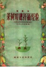 福建省茶树短穗扦插经验 封面