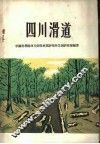 四川滑道 封面