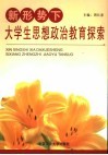 新形势下大学生思想政治教育探索 封面