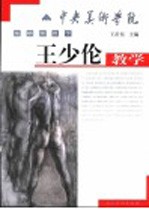 王少伦教学 封面