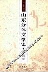 山东分体文学史  小说卷 封面