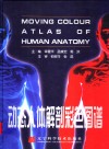 动态人体解剖彩色图谱  中英文本 封面