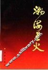 渤海星火  惠民地区战前党史资料集 封面
