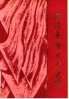临沂革命斗争史稿  1919-1949 封面