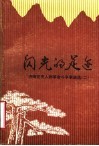闪光的足迹  济南党史人物革命斗争事迹选  2 封面