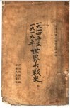 1914年至1919年世界大战史  上 封面