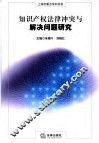 知识产权法律冲突与解决问题研究
