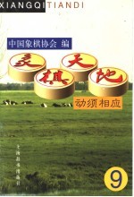 象棋天地  第9辑  动须相应 封面