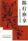 踢·打·摔·拿  中华武术四大技击法 封面
