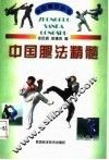中国腿法精髓 封面