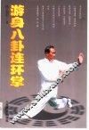 游身八卦连环掌 封面