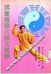 武当赵堡大架太极拳 封面