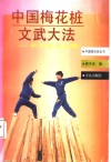 中国梅花桩文武大法  中华武术之魂 封面